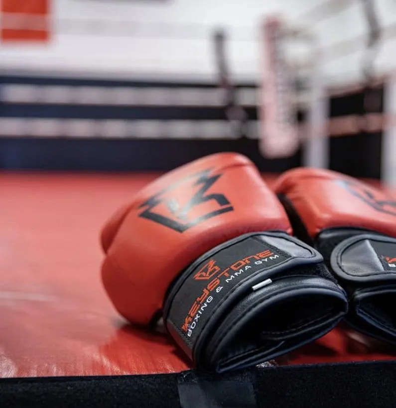 grayscale photo of mix martial arts fight