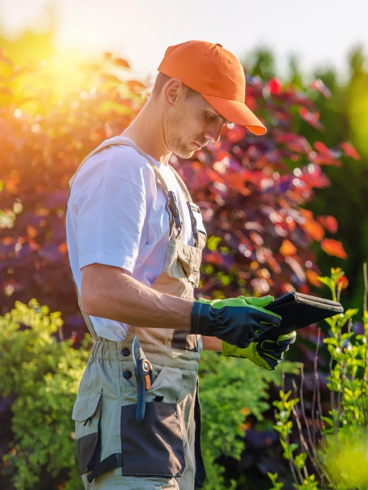 Untied Lawn and Irrigation