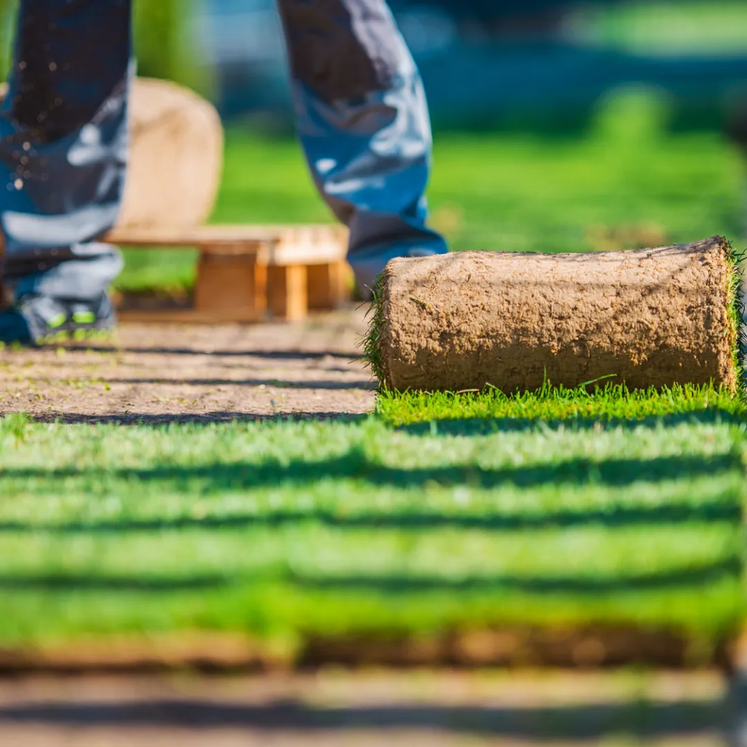 Landscaping