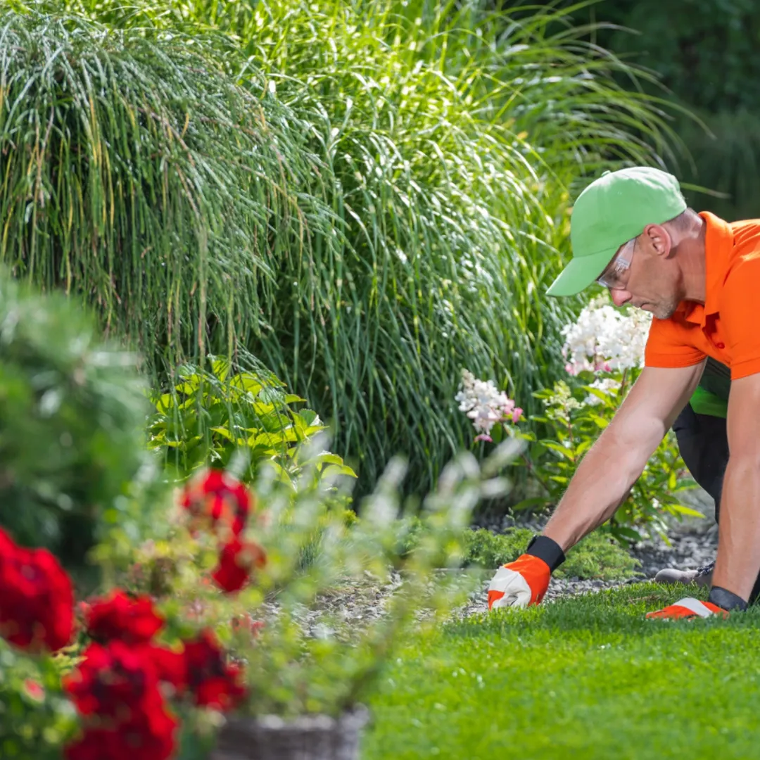 Landscape Maintenance