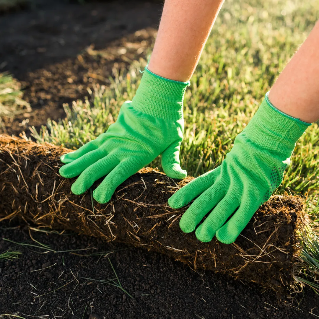 Sod Installation