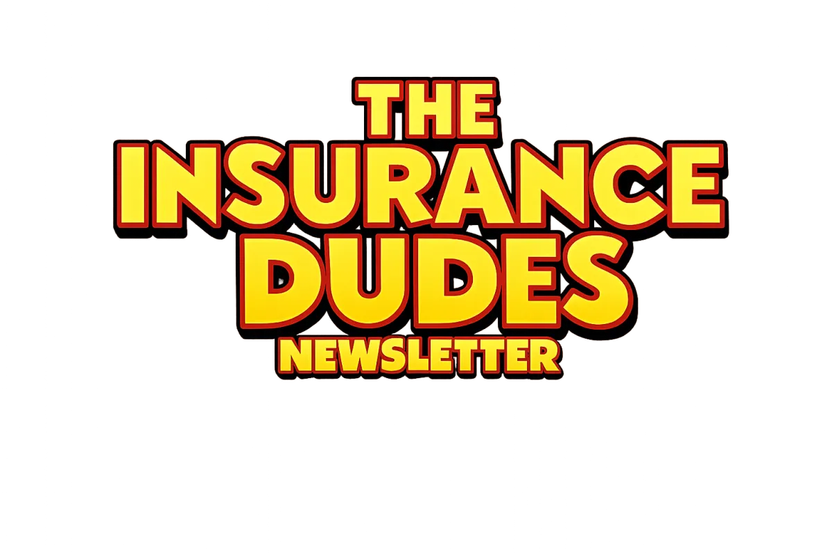 The Insurance Dudes newsletter logo