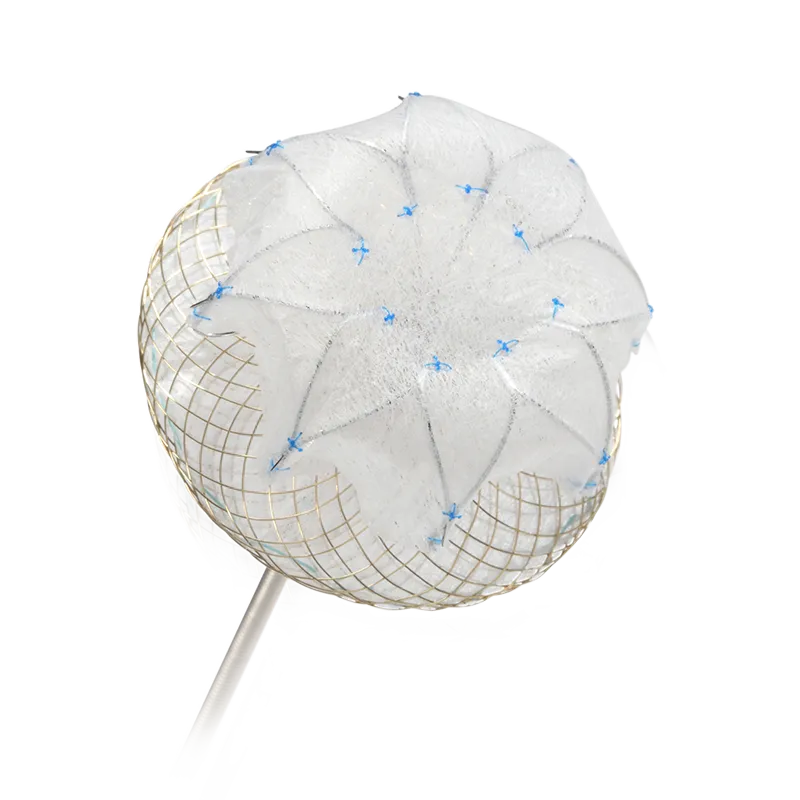 Left Atrial Appendage Closure System