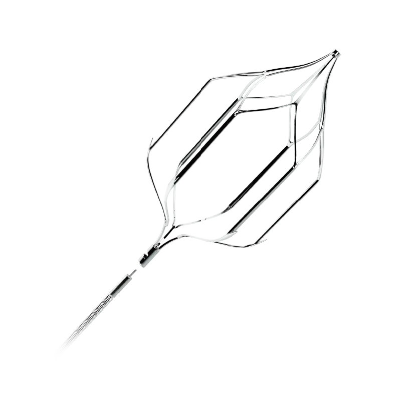 Aegisy Vena Cava Filter