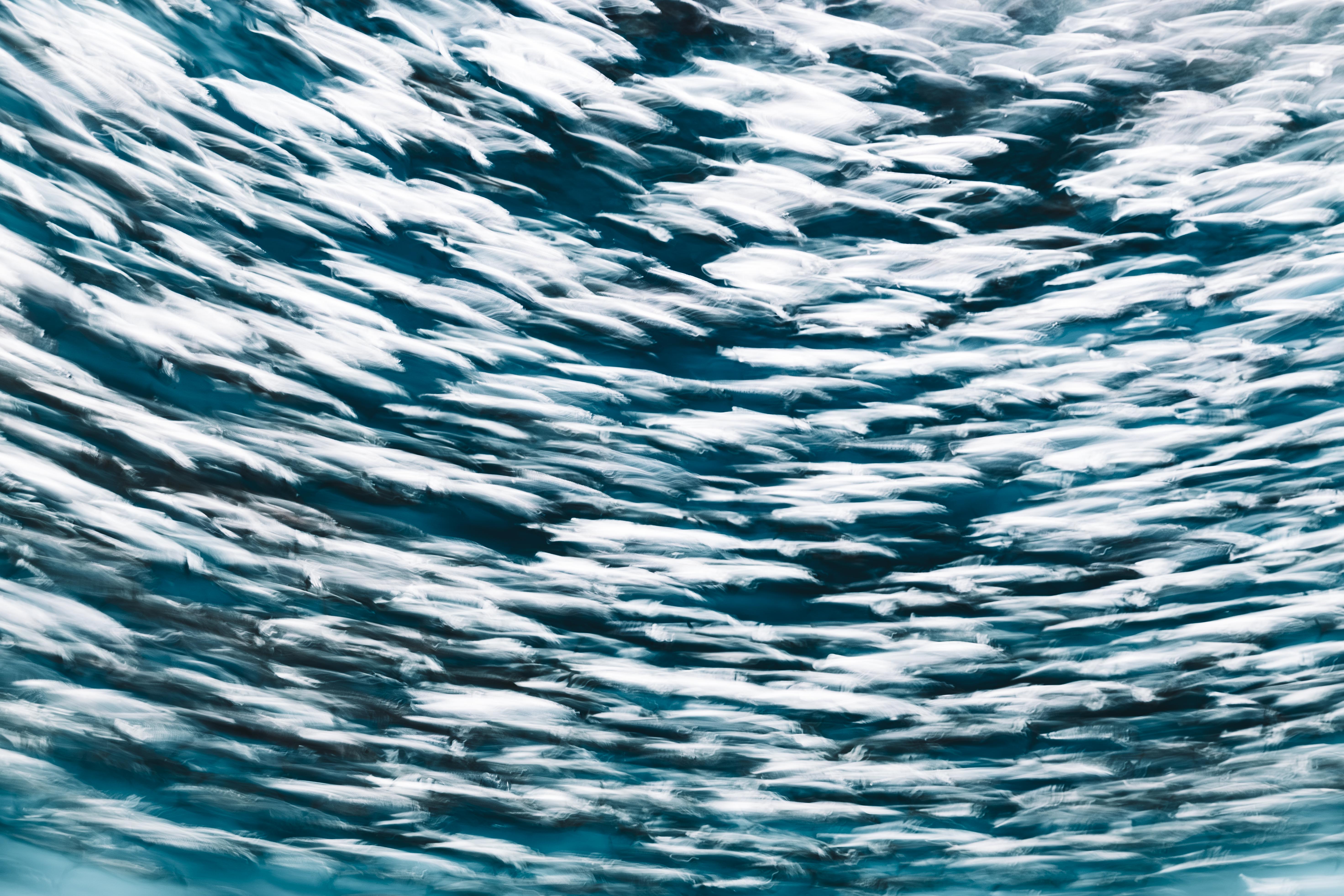 Long exposure ICM photograph at Monterey Bay Aquarium, a surge of color and motion as a fish school turns in unison, by fine art photographer Angie Harker