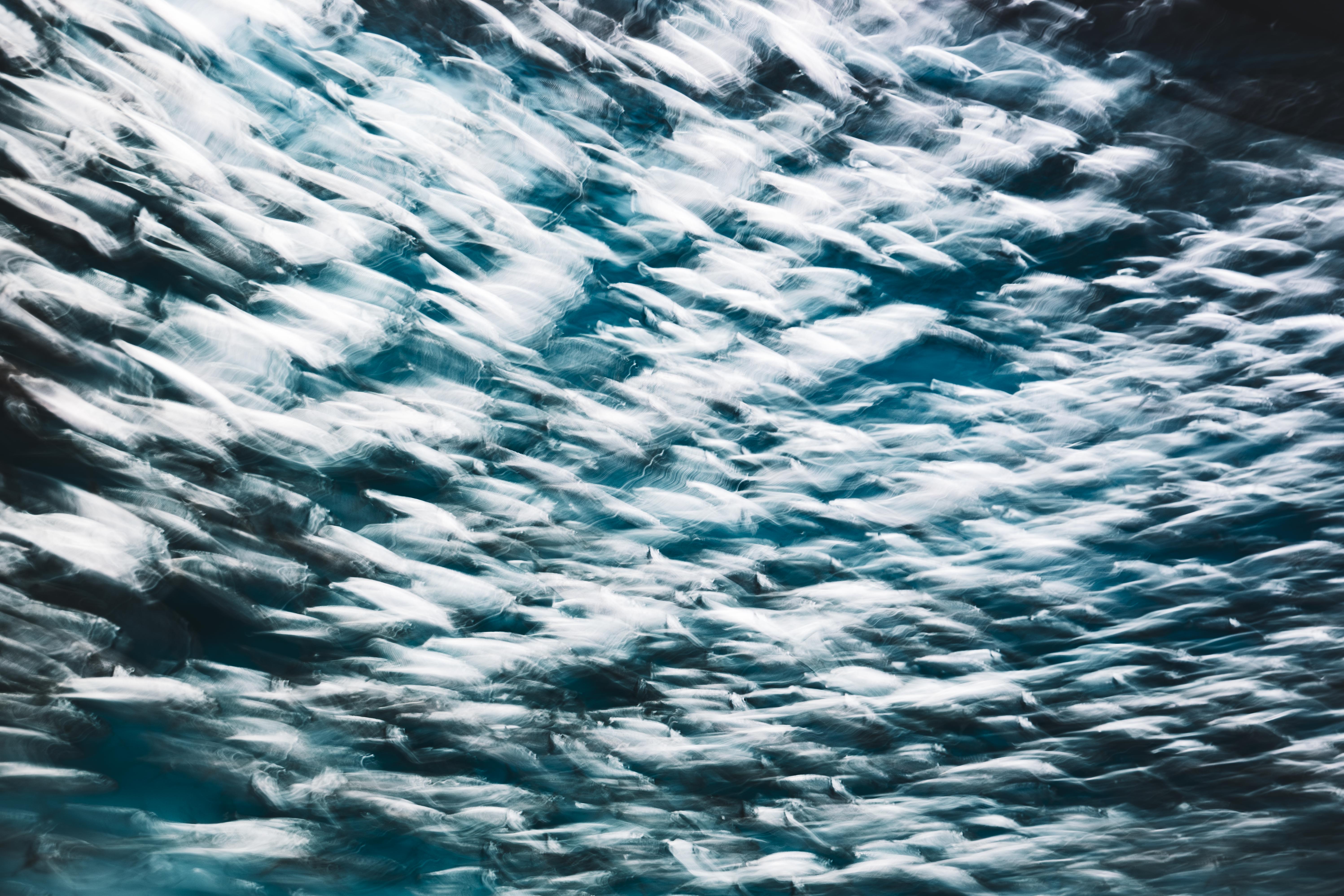 Long exposure photograph of a fish school at Monterey Bay Aquarium, silver light streaking through deep blue water, by fine art photographer Angie Harker