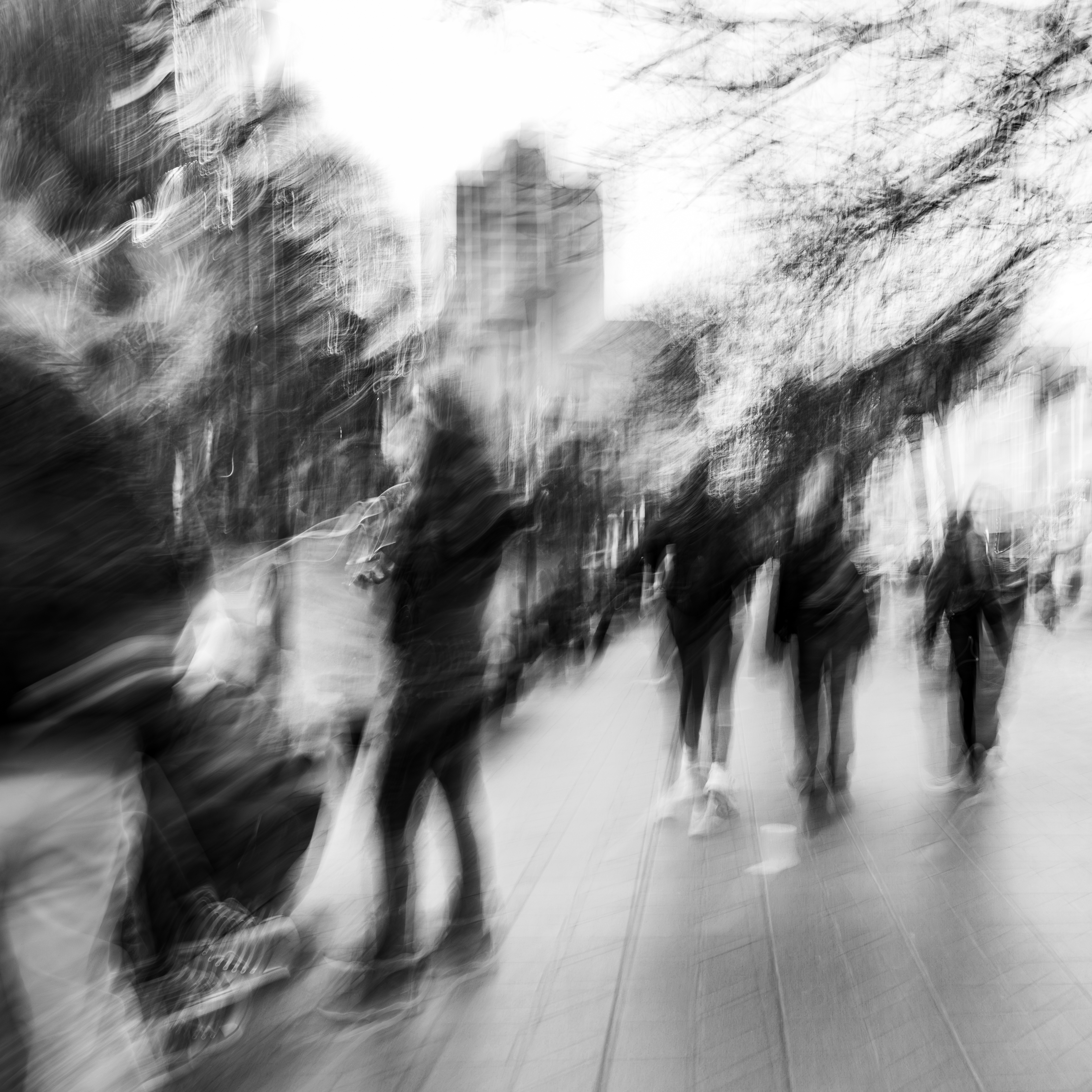 Figures moving through a Buenos Aires pedestrian walkway in late afternoon light, bare winter trees overhead, a single pair of Converse strobed into multiple variations, ribbons of light threading through the frame, monochrome ICM fine art photograph by Angie Harker