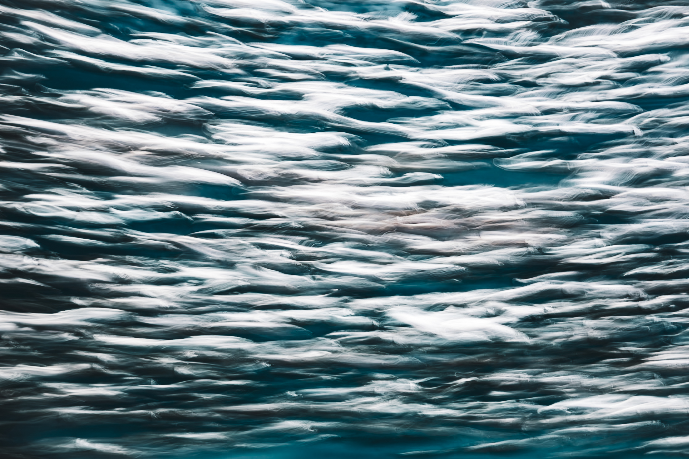 ICM abstract photograph at Monterey Bay Aquarium capturing the collective rhythm of a fish school in fluid motion, by fine art photographer Angie Harker