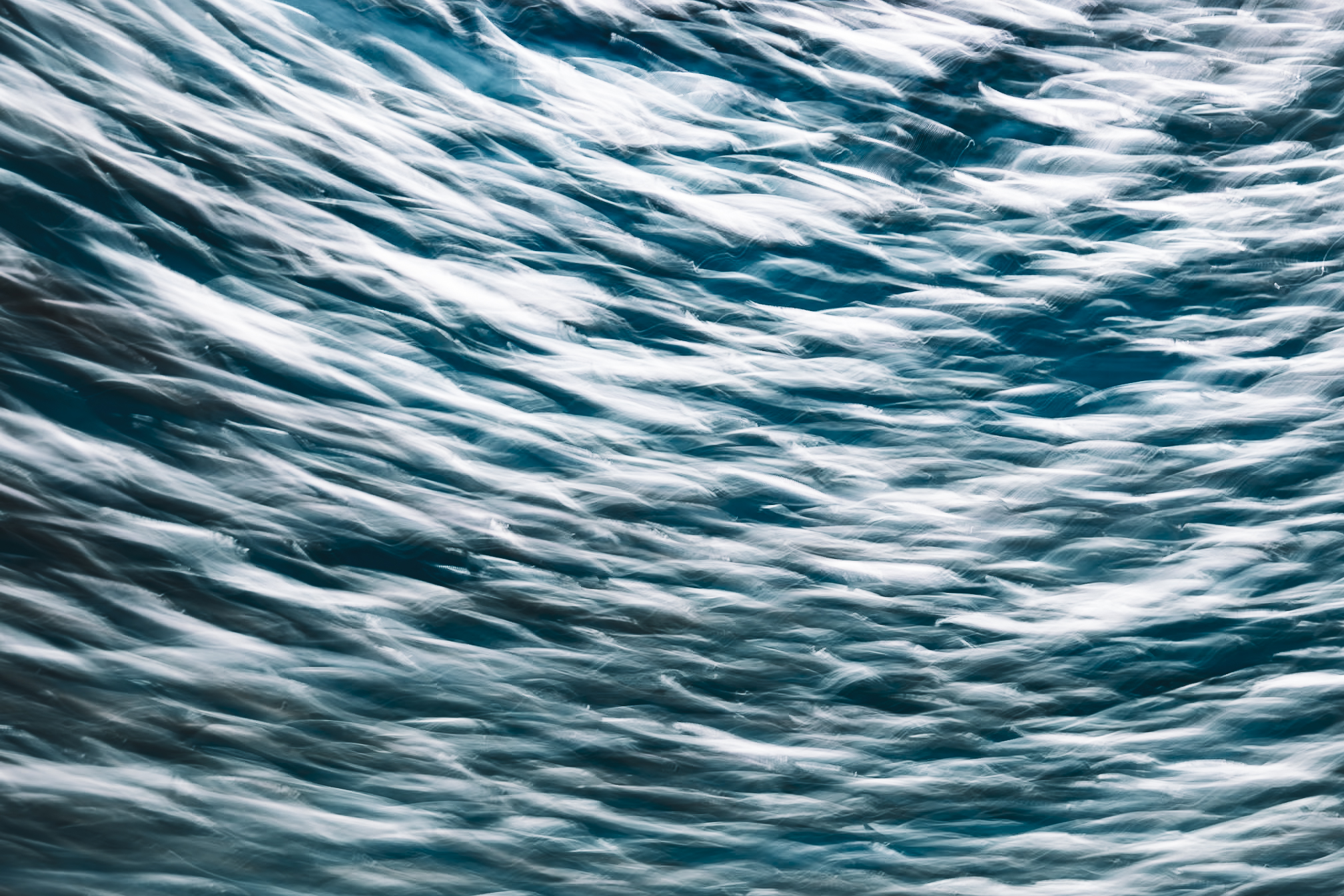 Abstract ICM photograph of a fish school at Monterey Bay Aquarium, color and form merging into a single fluid current, by fine art photographer Angie Harker