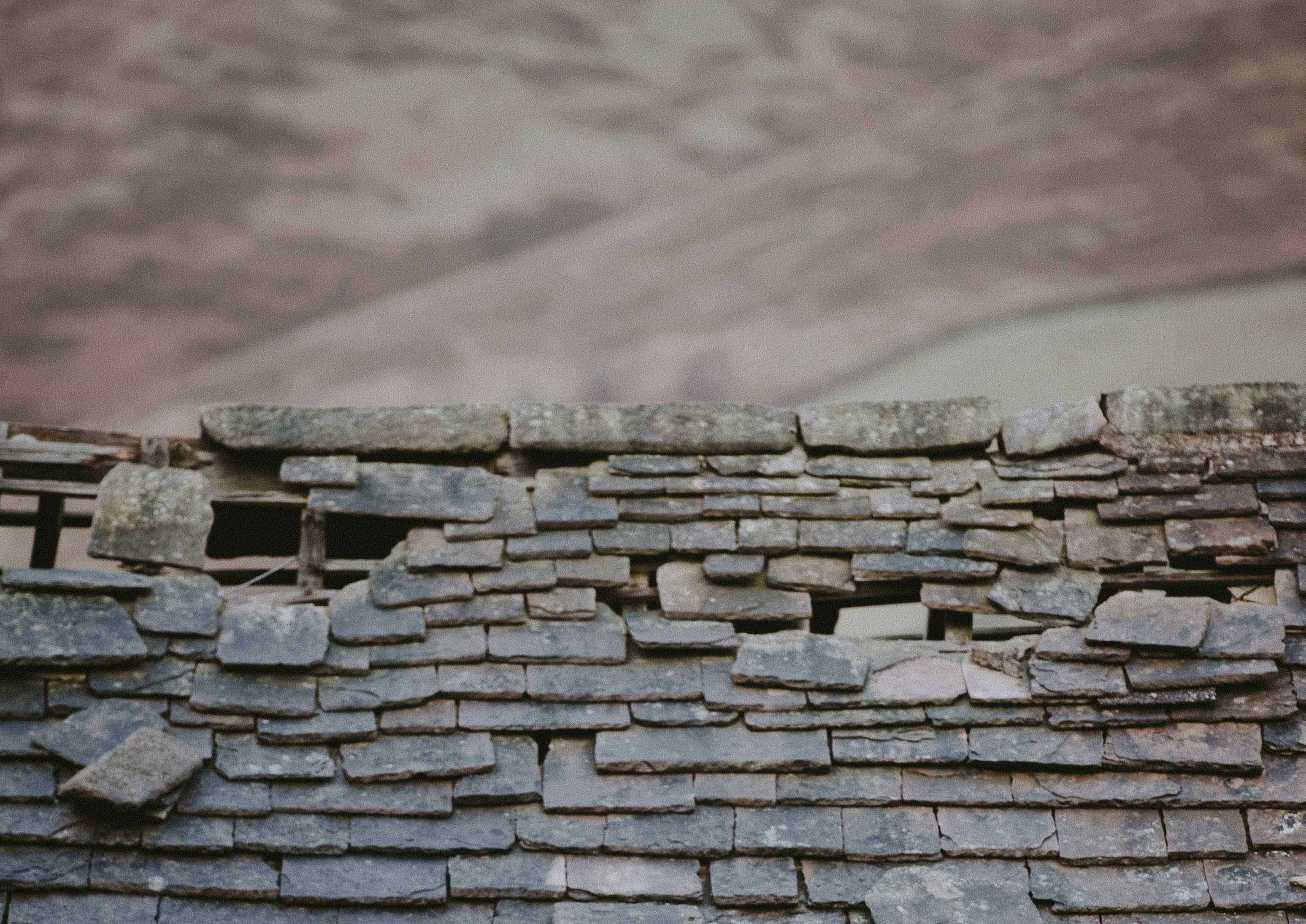 Roofing Leads in the UK: What's Actually Working in 2026 | Clientive