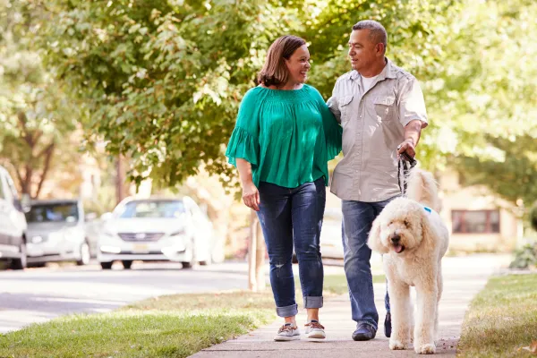 What Are the Pros and Cons of Living in Ashburn, VA?