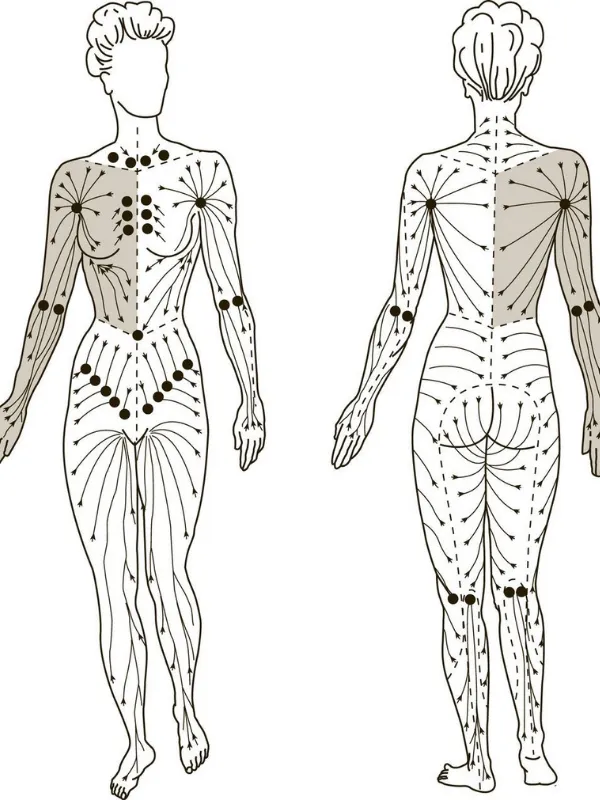 Deep Tissue MassDry Needling Tweed Heads | Wellness With Jamesage Tweed Heads