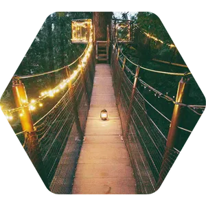 fiddner and company smart marketing begin your journey