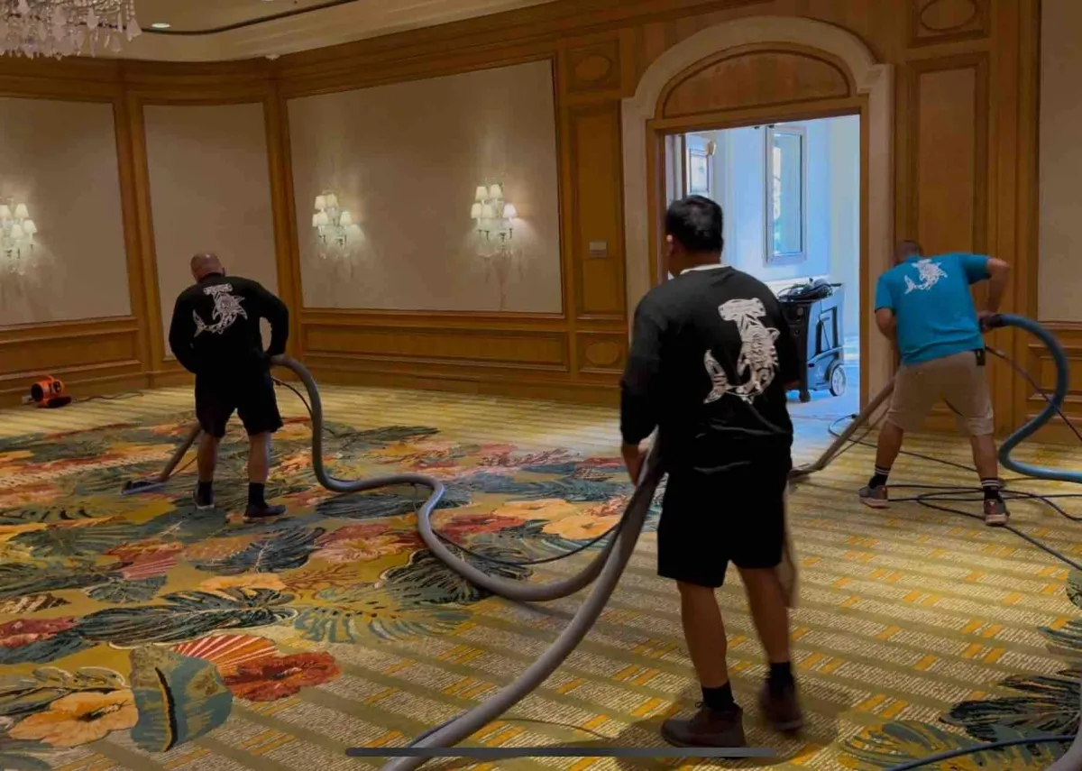 Large commercial carpet cleaning job completed by CSI in Kihei venue