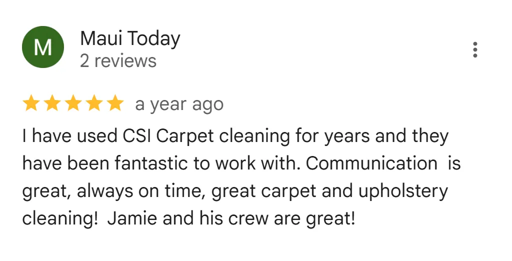 5-star customer review praising integrity and excellent home cleaning service
