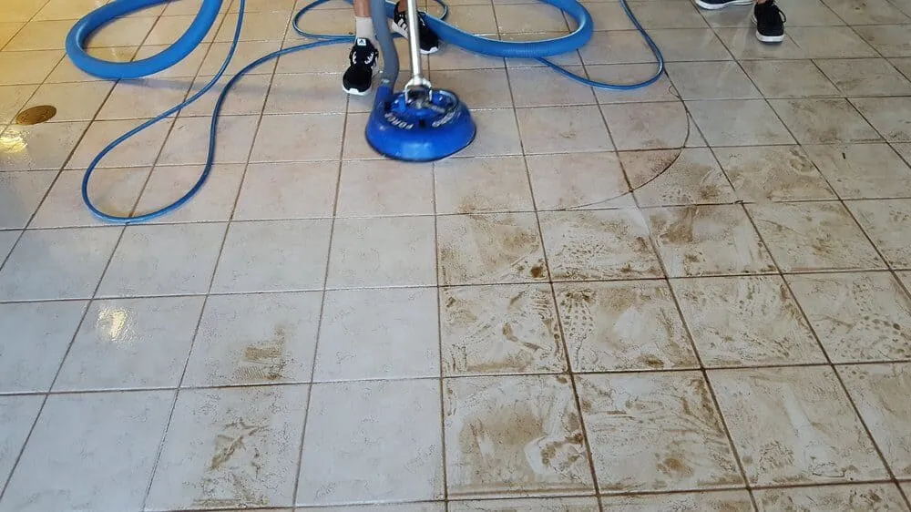 Carpet Cleaning