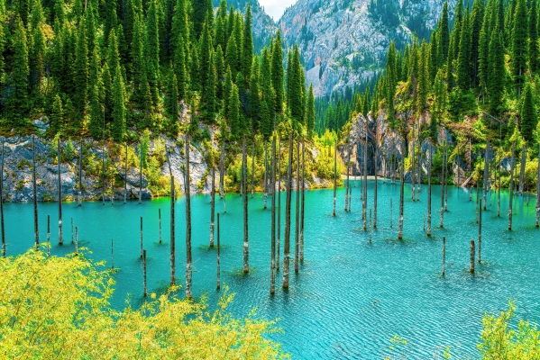 Lago Kaindy en Kazajistán con su famoso bosque sumergido y troncos de árboles emergiendo del agua