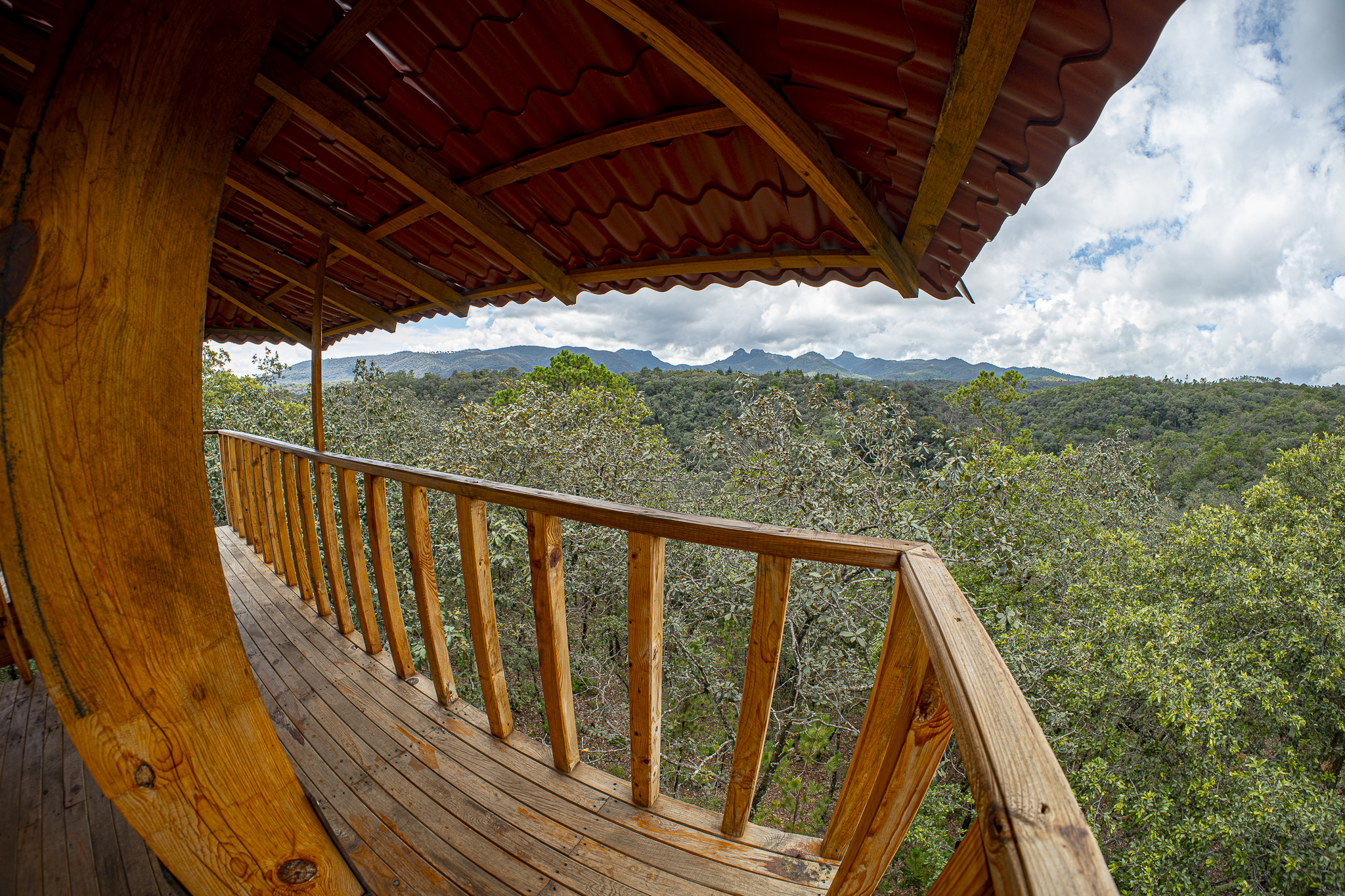 mountains and tree range during golden hour