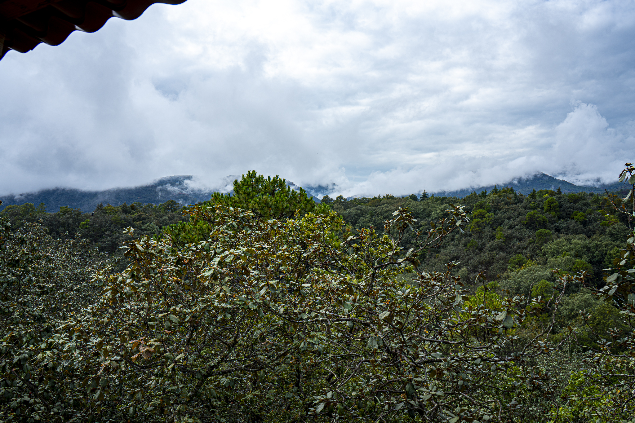 a car driving down a dirt road with mountains in the background