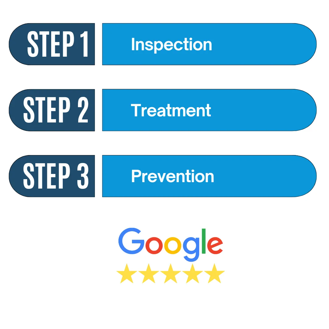 3 Step Infograph for Pest Control Process