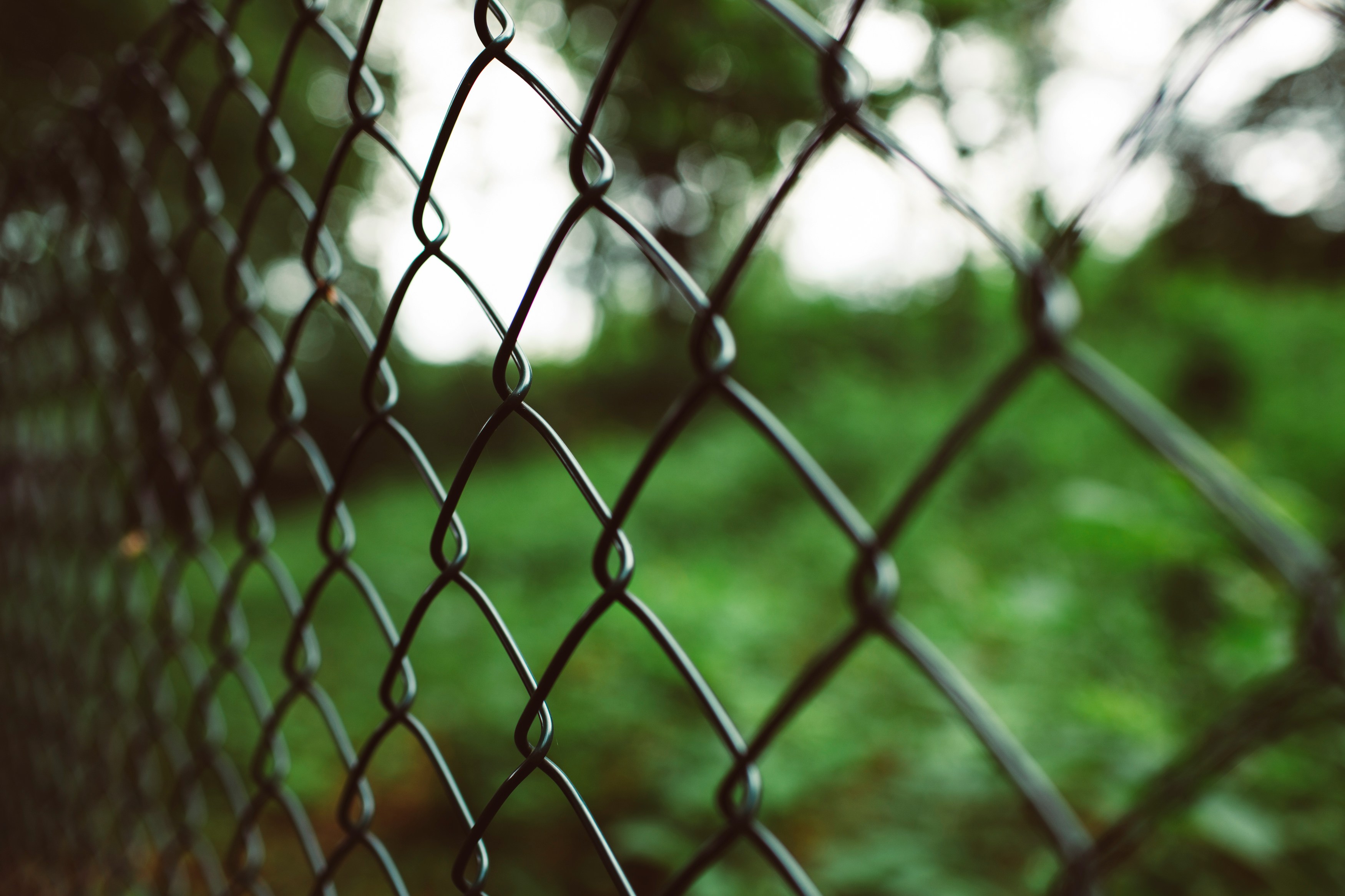 Webster Chain Link Fencing