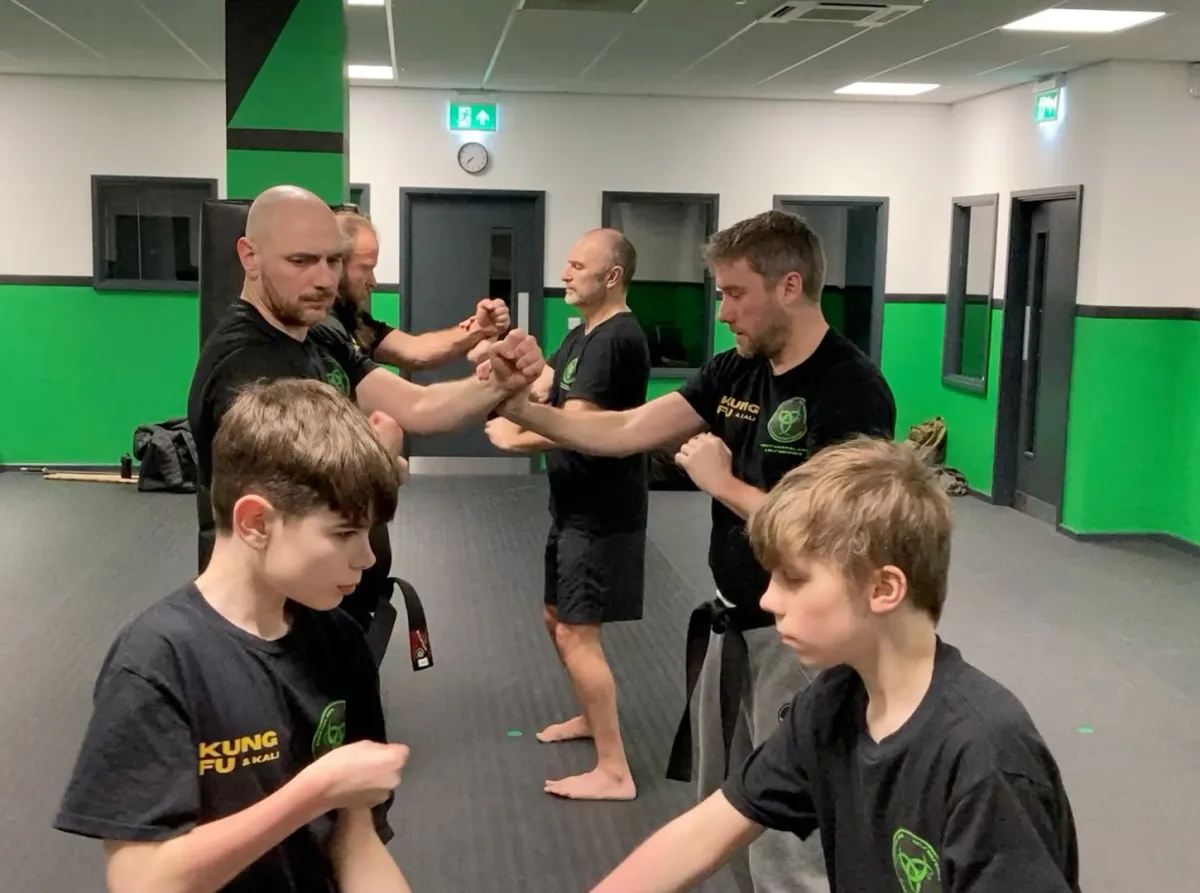 Image of Wing Chun/Kali training