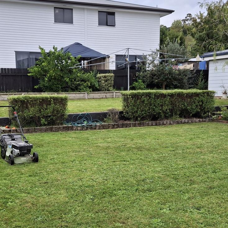  hedge trimming and pruning services in Gisborne garden