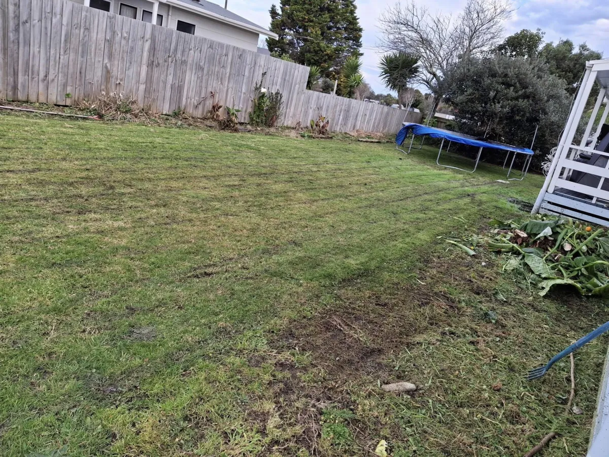 reshly mowed lawn with neat edges in Gisborne