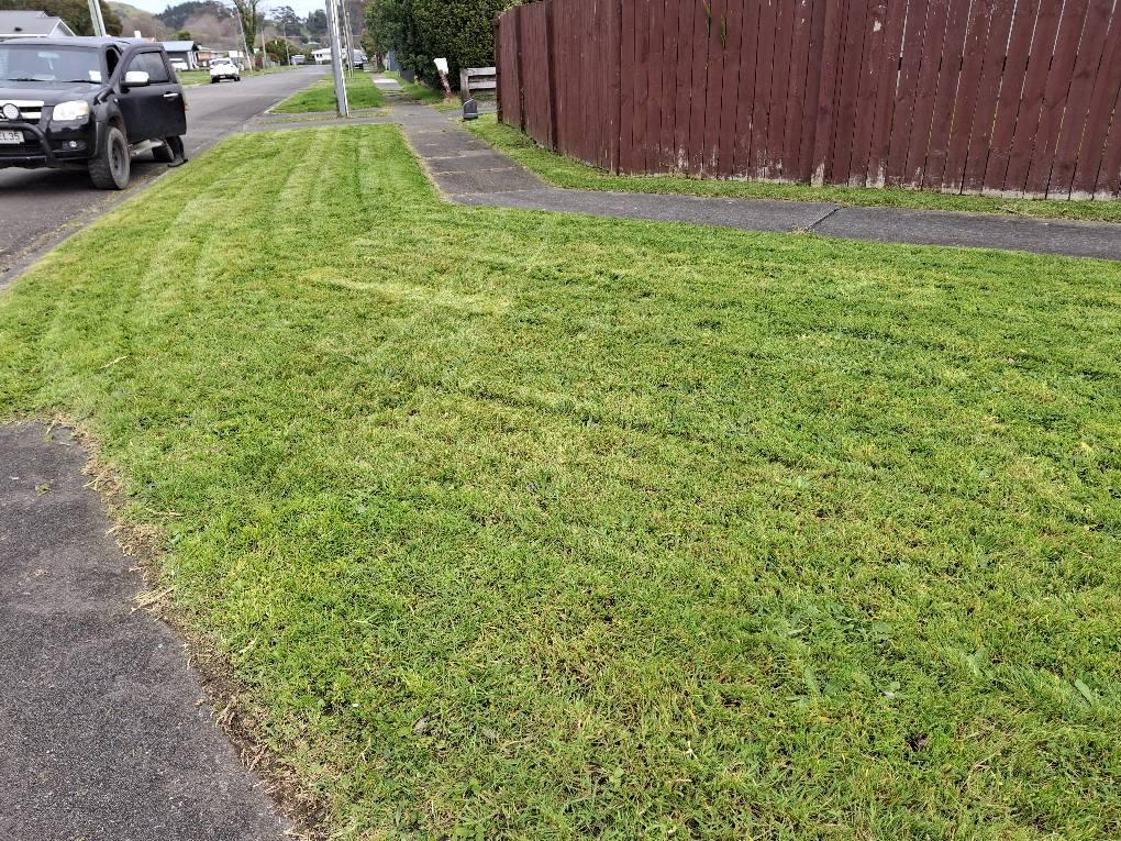 freshly mowed lawn with neat edges in Gisborne