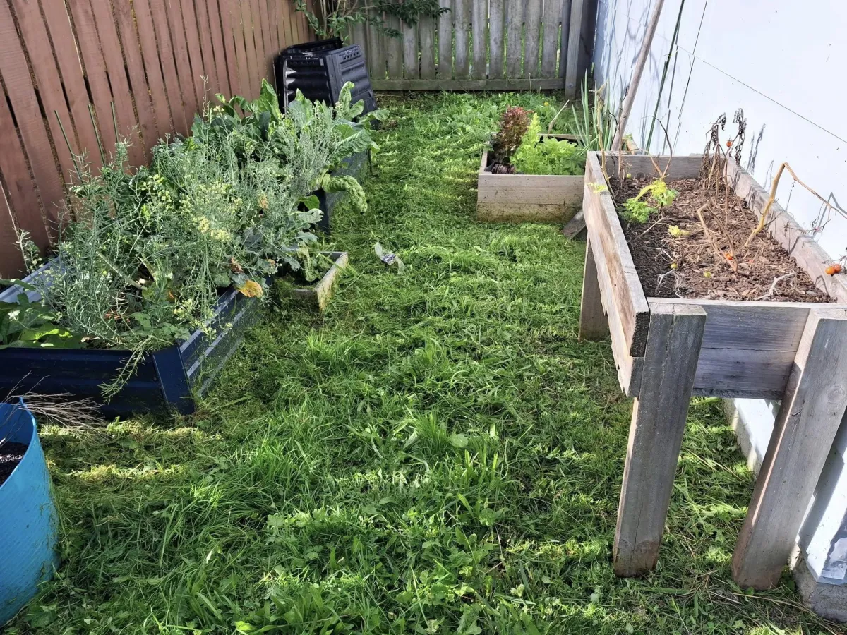 gardening and weed removal in Gisborne property