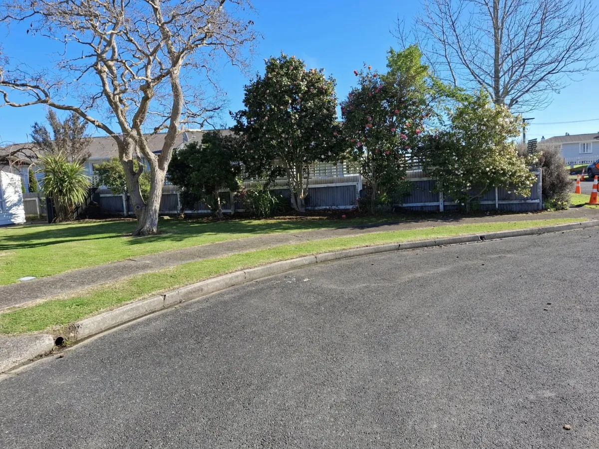 tree removal work in residential yard Gisborne