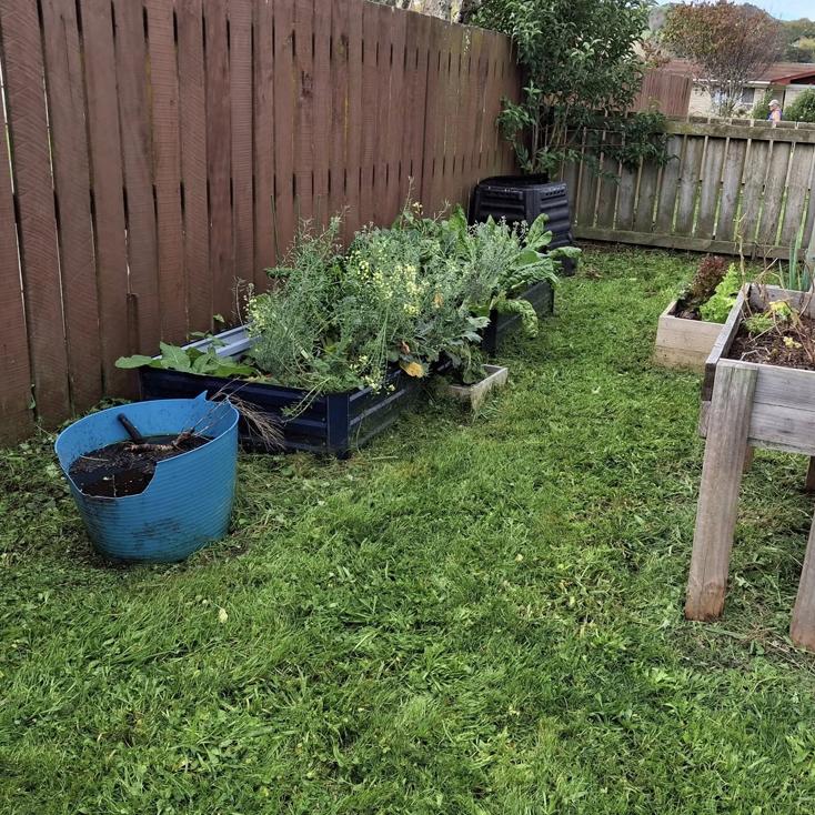 gardening and weeding services in Gisborne yard