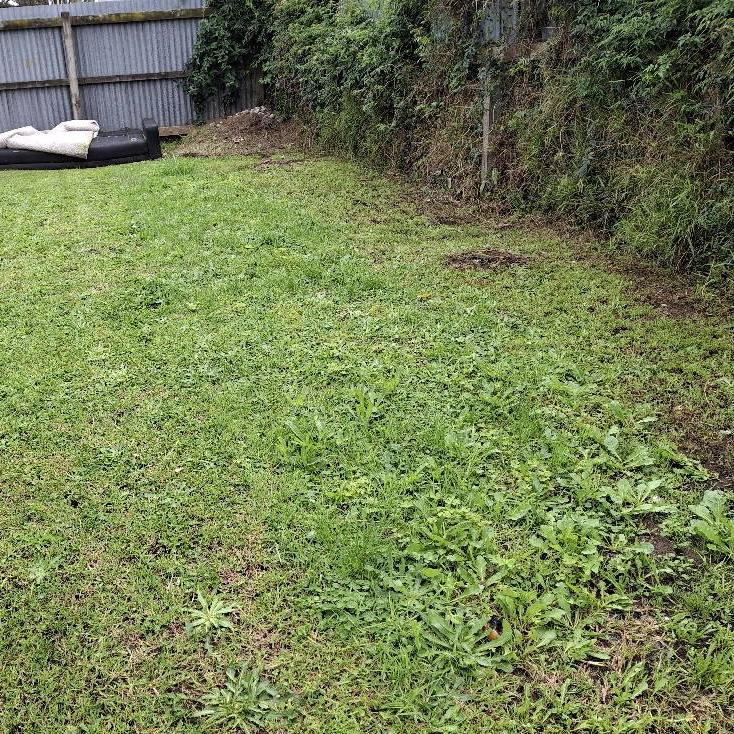 green waste removal in Gisborne backyard