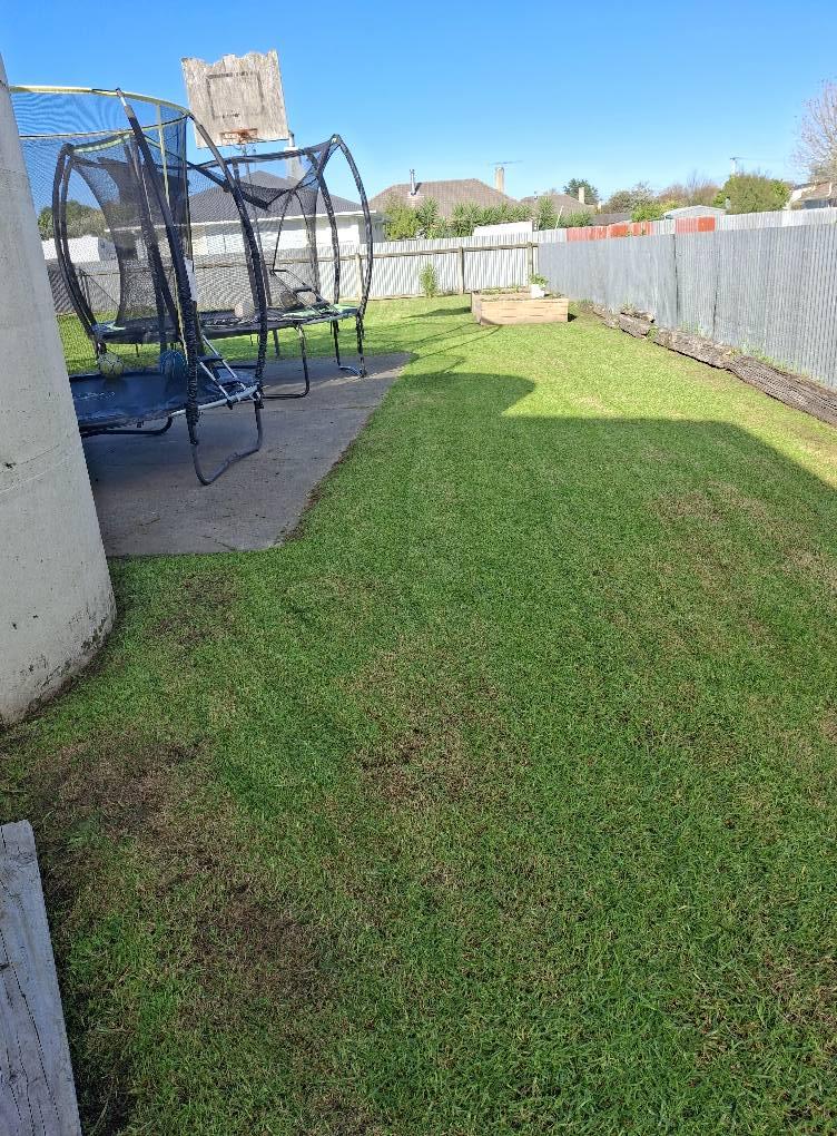 reshly mowed lawn with neat edges in Gisborne