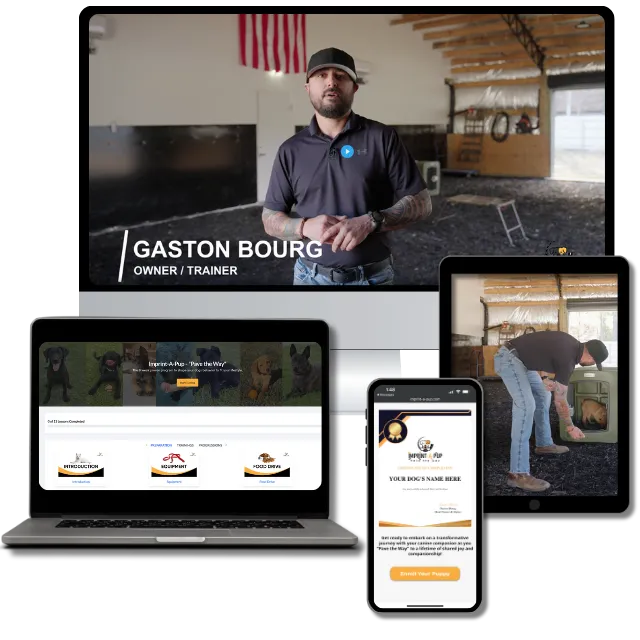 Screenshots showcasing Precision K9 Shaping's online puppy training course, Imprint-A-Pup, with video modules and interactive learning accessible on various devices.