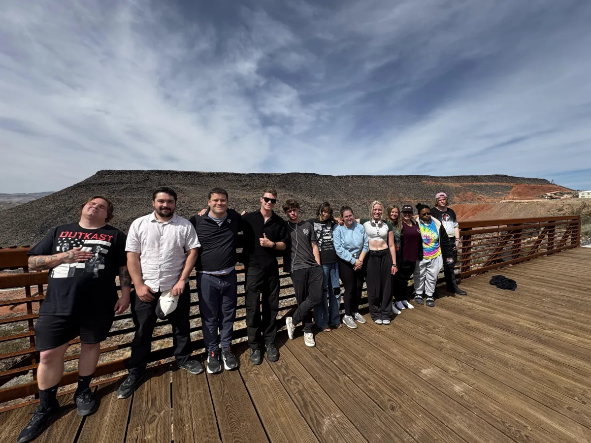 pink lotus flowers on pond