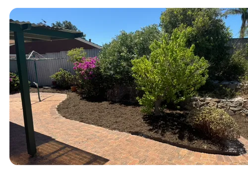 yard cleaning services ellenbrook