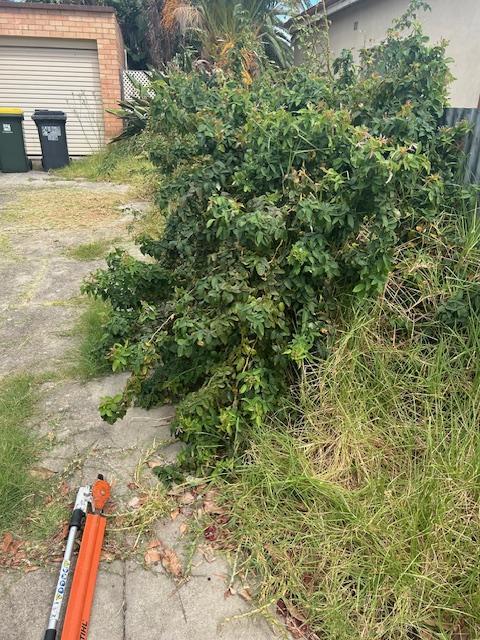 Property Maintenance Ellenbrook