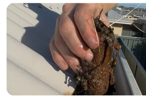 gutter cleaning services perth