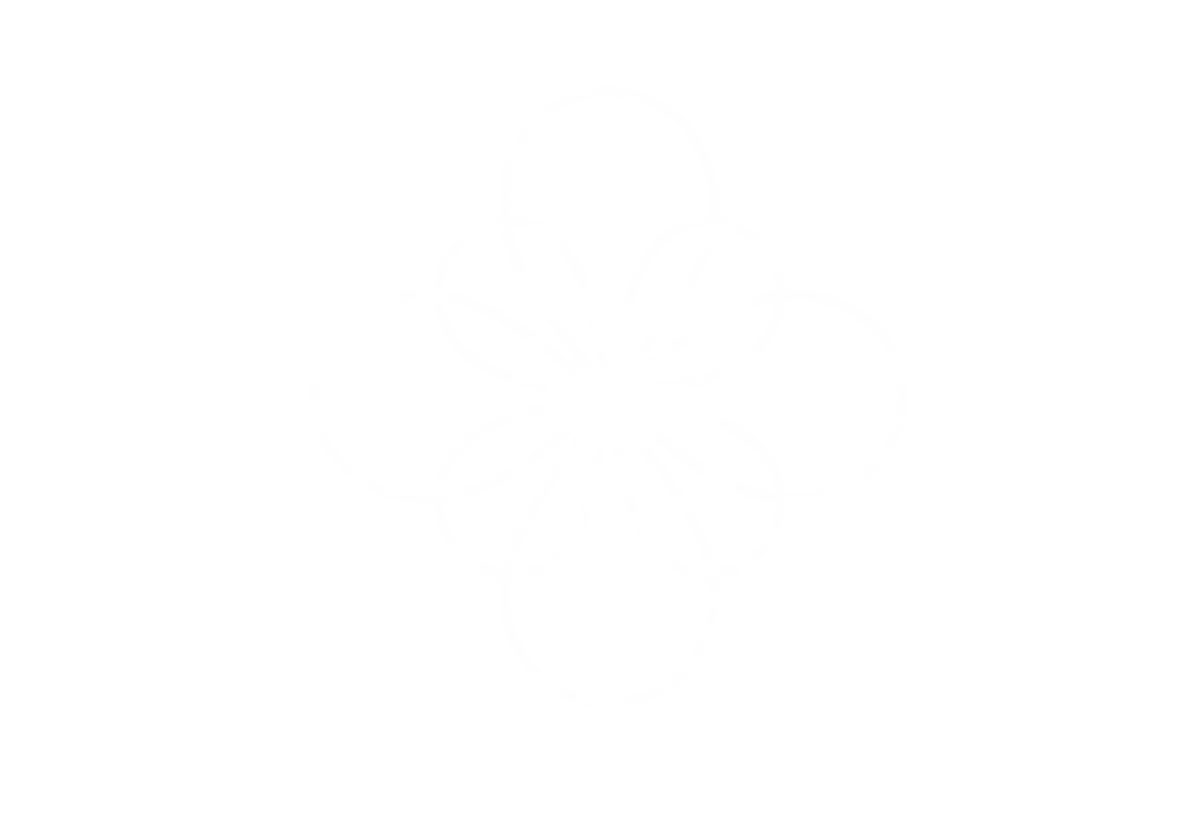 Dr. Natalie Logo