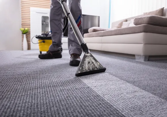 Regular Cleaning