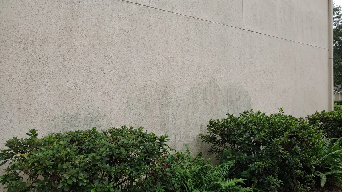 North-facing stucco wall with mildew on a Shearwater, St. Johns FL home before house washing