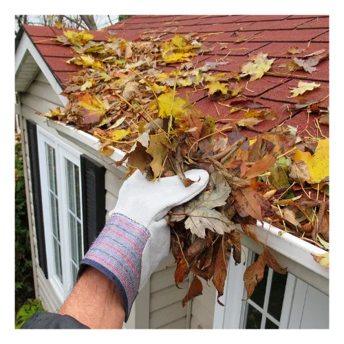 Home exterior after professional gutter cleaning in Nashville, TN