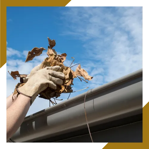 Residential gutter cleaning helping protect roof edges and siding