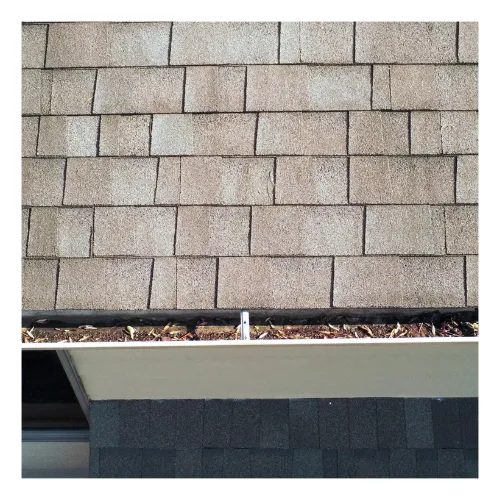 Gutter cleaning team working on a home in Franklin, TN