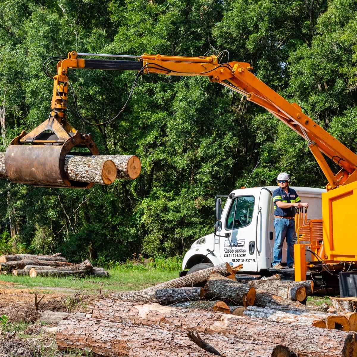 SAS Tree Service is a Fully Licensed and Insured, Family Owned Greater Gainesville Tree Service Company