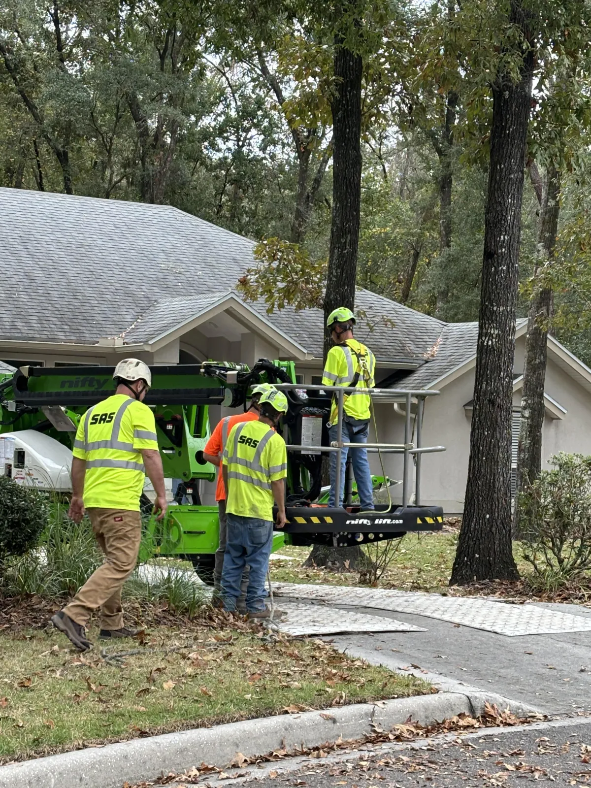 SAS Tree Service: Your Go-to for Tree Care Needs