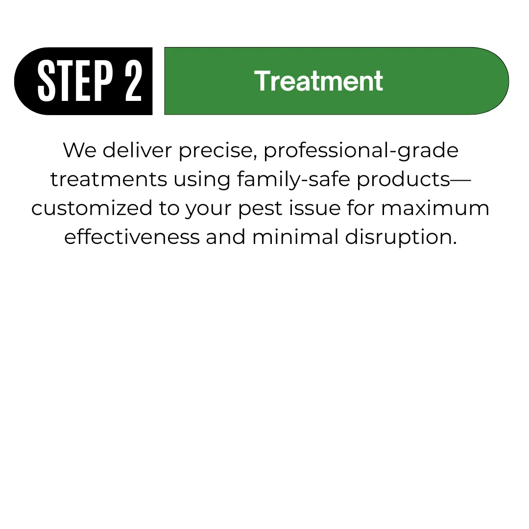 3 Step Infograph for Pest Control Process