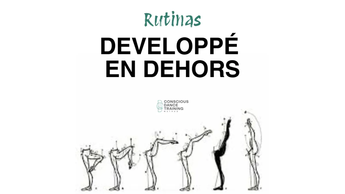 Estabilidad y Equilibrio Entrenamiento