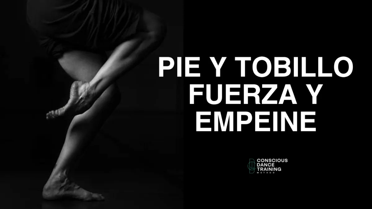 Estabilidad y Equilibrio Entrenamiento